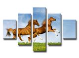 Modern Wall Art Canvas Prints as Home Decoration