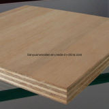 15mm Furniture Grade Red Pencil Ceder Commercial Plywood