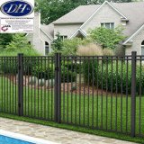 Powder Coated Steel Garden Fence with High Quality