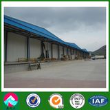 Large Cold Storage Steel Structure Building