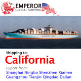 Sea Freight Shipping From China to California, USA