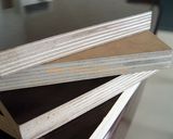 12mm Film Faced Plywood