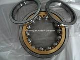 Angular Contact Ball Bearing 7007C