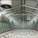 Customized Poultry House Construction with Steel