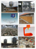 High Quality Automatic Whole Poultry Equipment for Poultry House