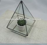 Wholesale Indoor Glassterrarium Plant Holder for Home Decoration