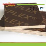 Film Faced Plywood / Marine Plywood / Shuttering Plywood / Waterproof Plywood