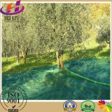 HDPE Agriculture Olive Net/Harvest Nets