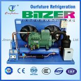 Bitzer Piston Type Condensing Unit for Convenience Store Food Showcase