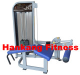 Fitness Equipment, , Body Building Eqiupment, Hammer Strength, Leg Curl (PT-517)