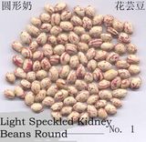 Light Speckled Kidney Beans - Round Shape