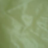 380t Nylon Taffeta Fabric