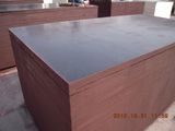 Black Film Faced Plywood