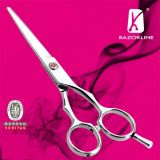 RAZORLINE SK45 Hair Cutting Scissors for Salon Professional Use