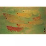 Chinese Painting Qian-Shuo Liu, Golden Arowana (CP082)