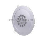 LED Down Light (WSL-DL049-18W) 