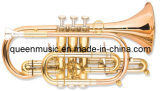Trumpet/ Cornet