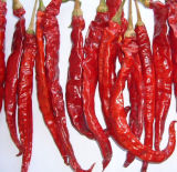 Natural New Crop Red Chaotian Chili (GLY-071802)