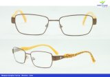 Fashion Metal Optical Frame High Quality Eyewear (56376#)