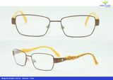 Fashion Metal Optical Frame High Quality Eyewear (56376#)