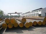 Alloy Round Steel Bar (SUJ2)