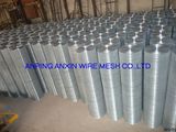 Welded Wire Mesh