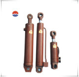 Professional Hydraulic Cylinder (WT-00031)