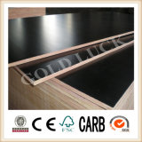 Qingdao Construction Material Film Faced Plywood