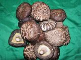 Shiitake Mushroom