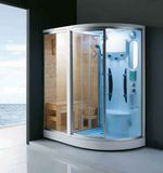 Computerized Steam Shower Room with Tempered Glass (WN-166)