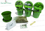 3.5 Inch Biodegradable Garden Planting Pot (904001)