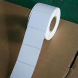 Plain Thermal Adhesive Label Rolls