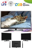Hot Sale HD LED TV / Television OEM TV (MIC-ST39D8300)