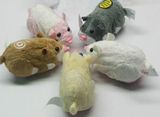 Zhuzhu Pets