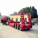 Lowbed Truck Trailer (CTY7955)