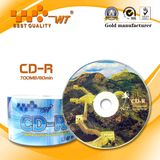 Blank CD-R 700MB 52x 80min Raw Material Silvering Bulk CD (WT-Blank CD-R 001)