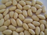 Blanched Peanut 25/29