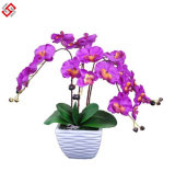 Artificial Bonsai Flower of PU Butterfly Orchid