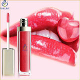OEM Lip Gloss, Waterproof Lip Gloss, Color Cosmetics Products