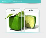 Top Quality Premium Tempered Glass Screen Protector for iPhone 5