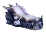 Natural Geode Amethyst Carved Dragon Skull Carving #9z92, Crystal Healing