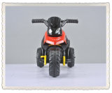 Kids Electric Toy Car/Motorcycle