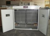 Egg Hatcher Incubator 3520