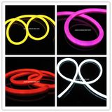 LED Neon Rope (LCQ-Neon-*)