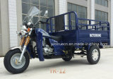 Three Wheel Exchangable Tricycle with Foot Fender (TR-12)
