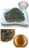 Speciality Antiradiation Health Tea EU Standard Green Tea Aroma Bud 8446