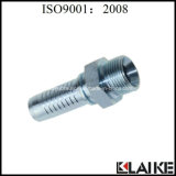 Bsp Male 60degree Cone Seat Hydraulic Hose Fittings (12612A)