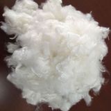 Recycled Polyester Staple Fiber (7D Hc 32/64mm)