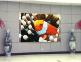 P5full Color LED Display/ Indoor Full -Color LED Display