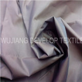 Polyester and Nylon Taffeta Fabric (DNT3138)